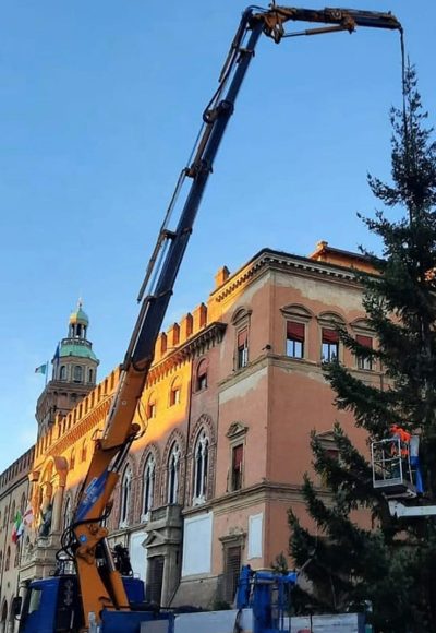 Manutenzione straordinaria del verde